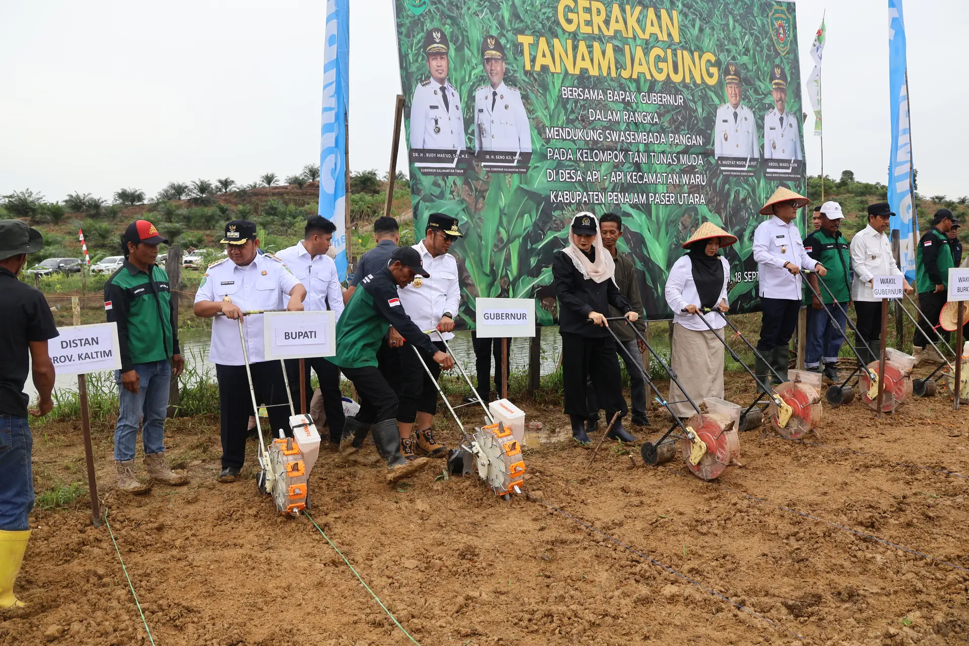 Bupati PPU Bersama Gubernur Kaltim Tanam Jagung dan Panen Ikan Patin di Desa Api-api