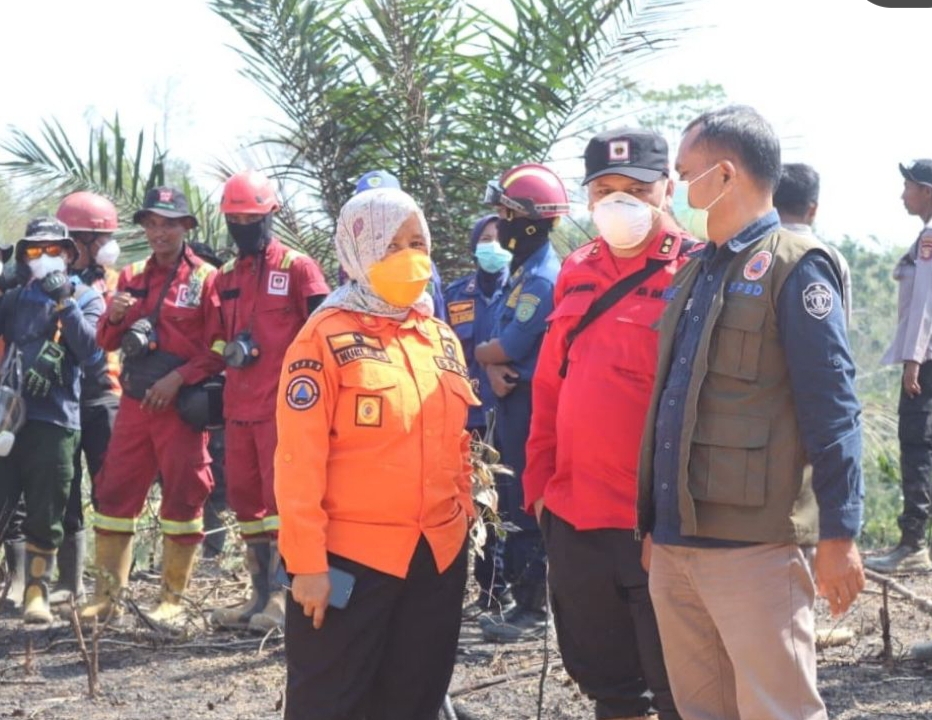 Kepala BNPB dan Menteri Kehutanan Tinjau Karhutla Bukit Tengkorak, BPBD PPU Perkuat Sinergi Penanganan