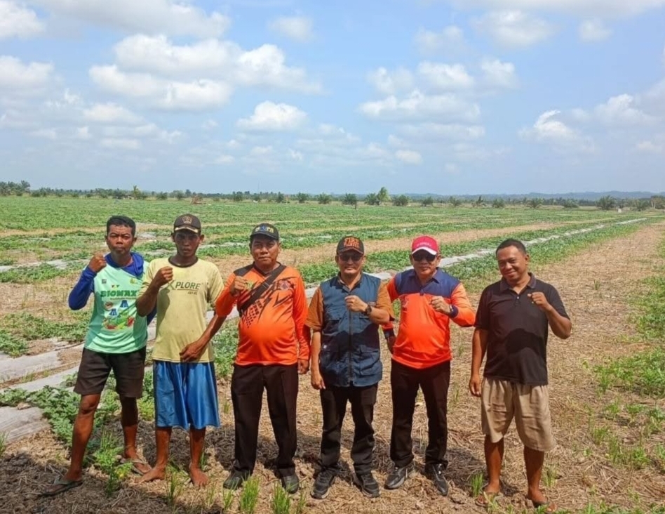 BPBD PPU Cek Kebutuhan Air Bersih untuk Petani di Babulu